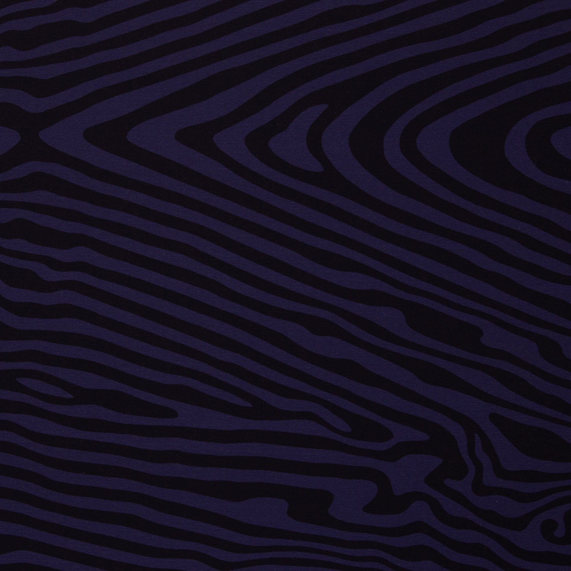 French Terry Swafing What the Duck Thorsten Berger - dunkelblau