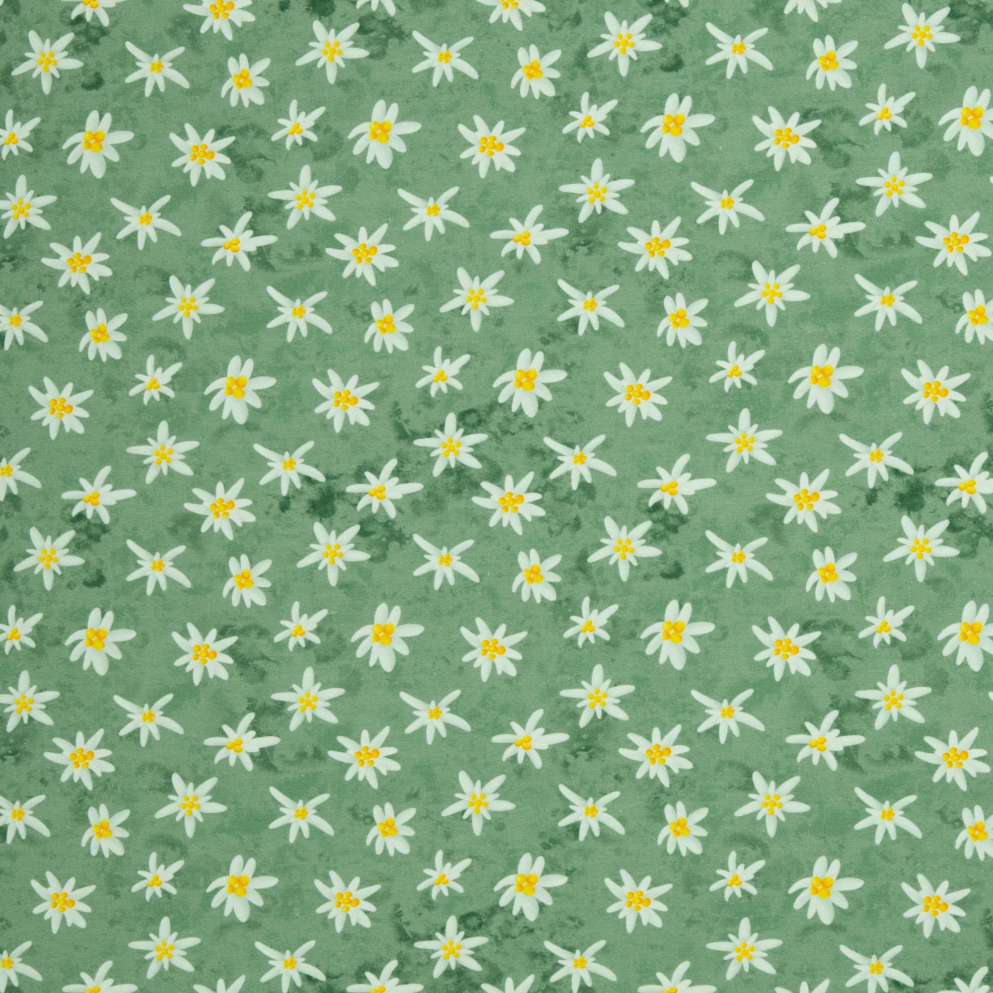 Jersey Swafing Alpenliebe by Mrs Mint Design - Blumen