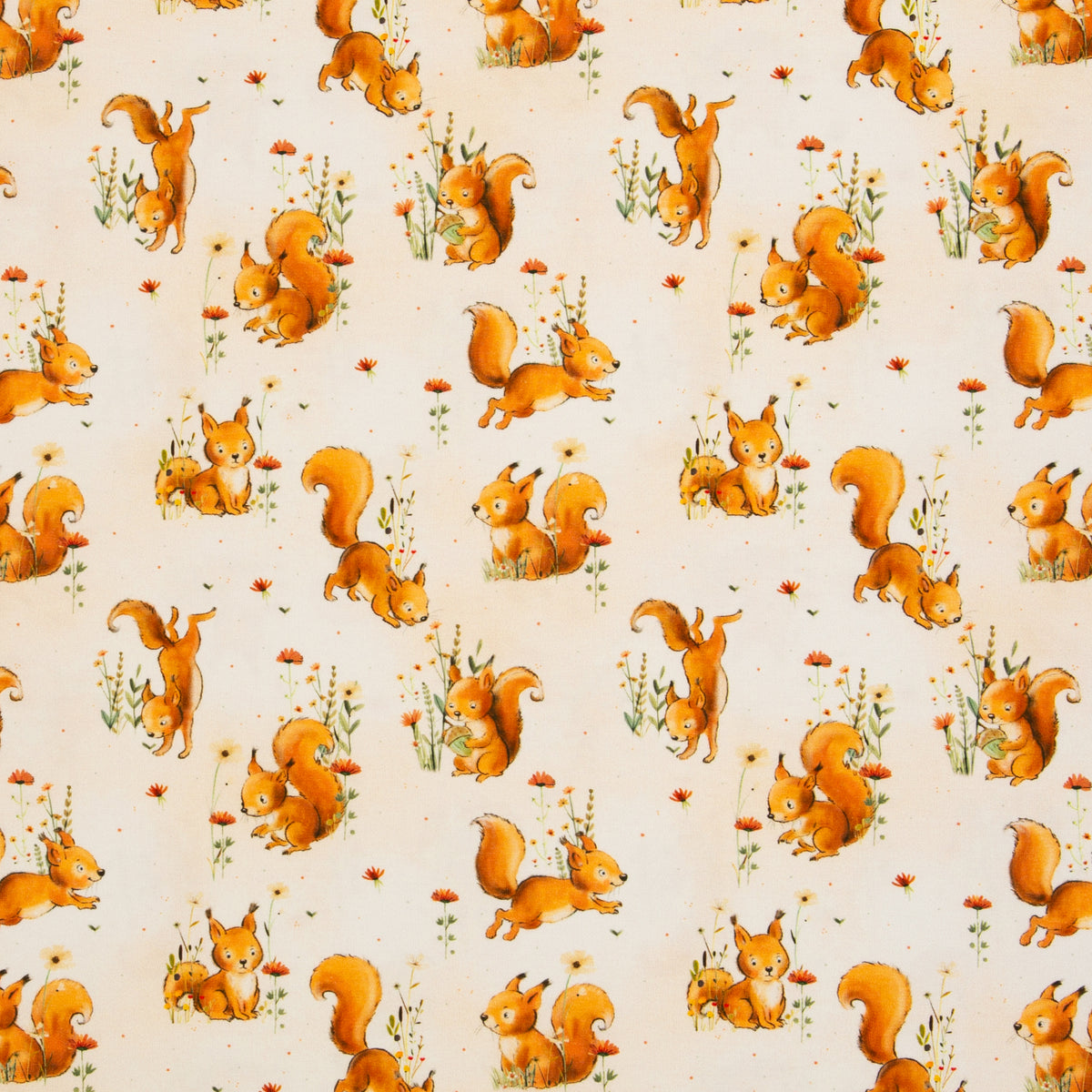Baumwolle Jersey Swafing Forest Animals - Eichhörnchen - Eichhörnchen