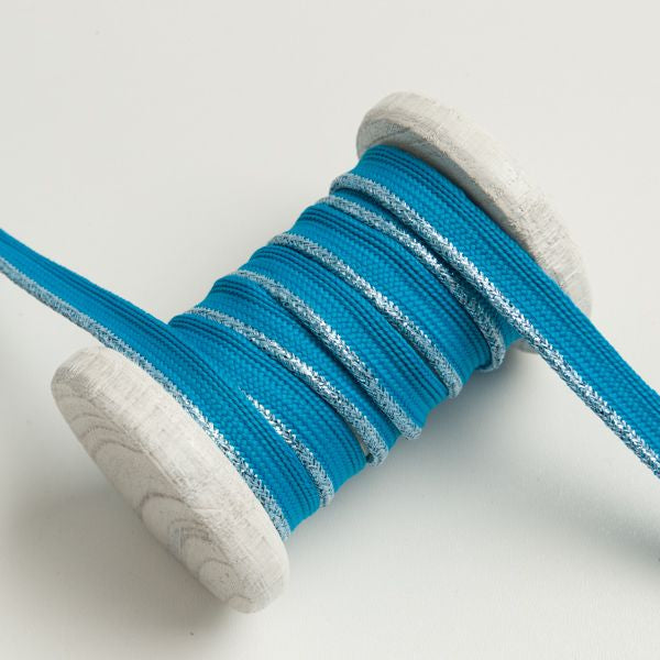 Paspelband Biese mit Glitzer 10mm