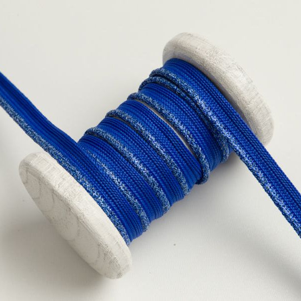 Paspelband Biese mit Glitzer 10mm