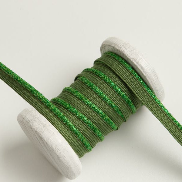 Paspelband Biese mit Glitzer 10mm