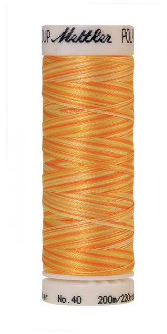Stickgarn Poly Sheen Multi 40 by Amann Mettler 200 m