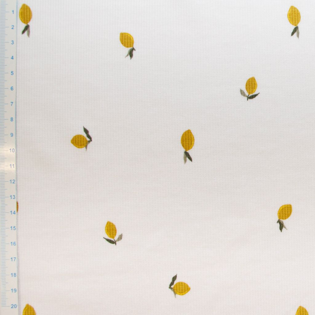 🍋Ripp-Jersey Stoff Digitaldruck - kleine Zitrone - wollweiß