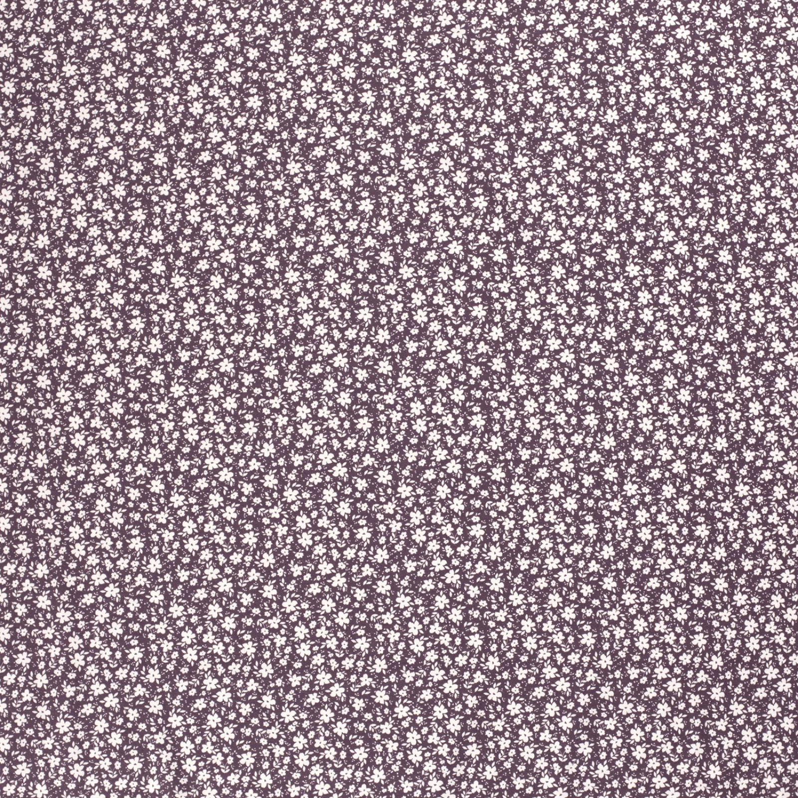 🌸Baumwolle Jersey Stoff Digitaldruck - Weiße Blümchen