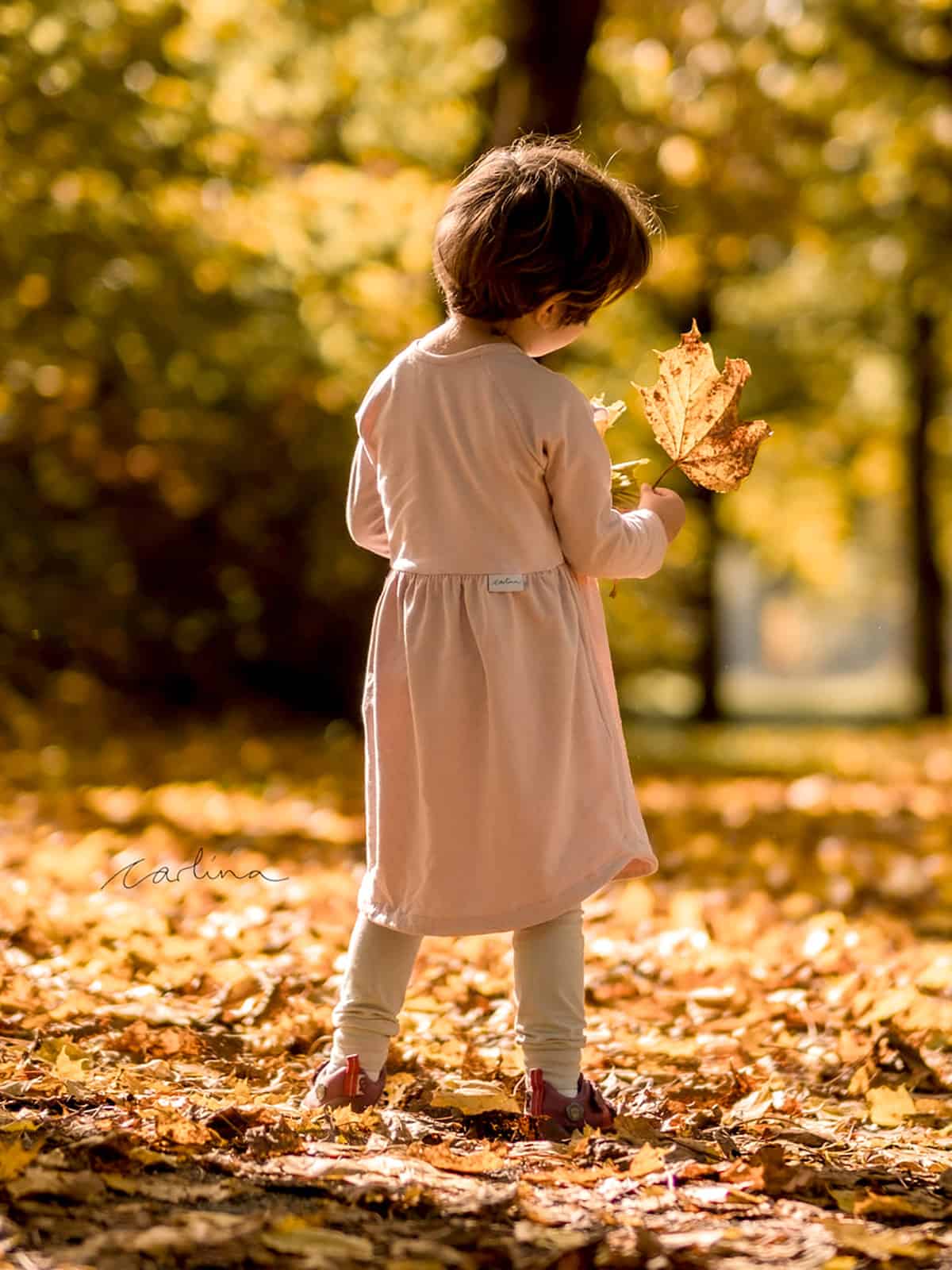 Papierschnittmuster - Ruffled Raglan