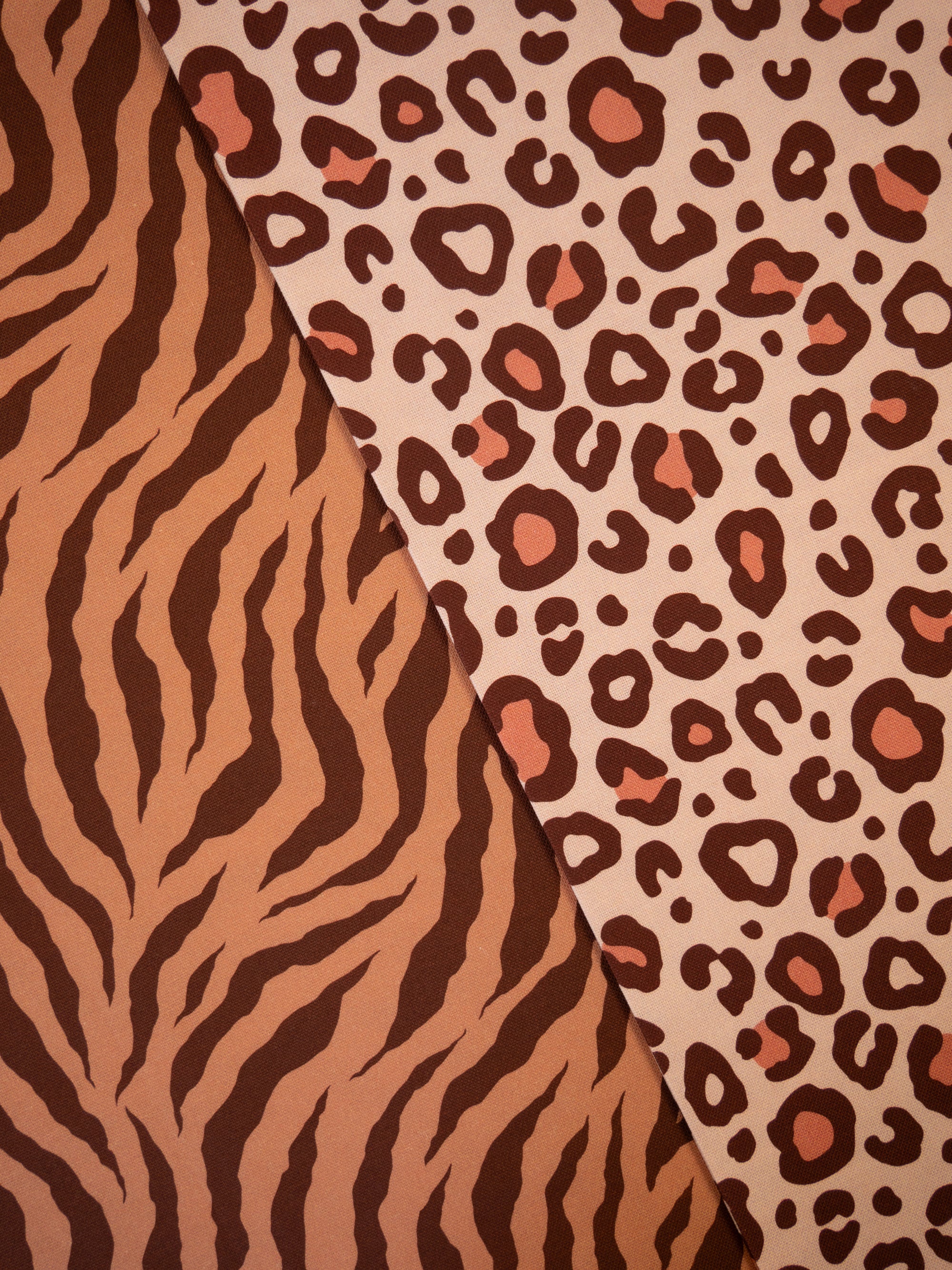 Canvas Swafing - DOHA - Zebra Print - braun