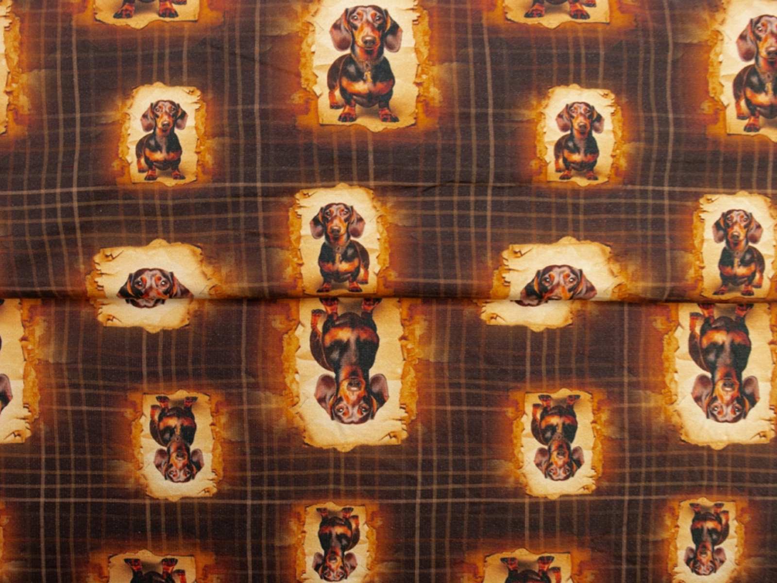 French Terry Stoff "Little Dackel"