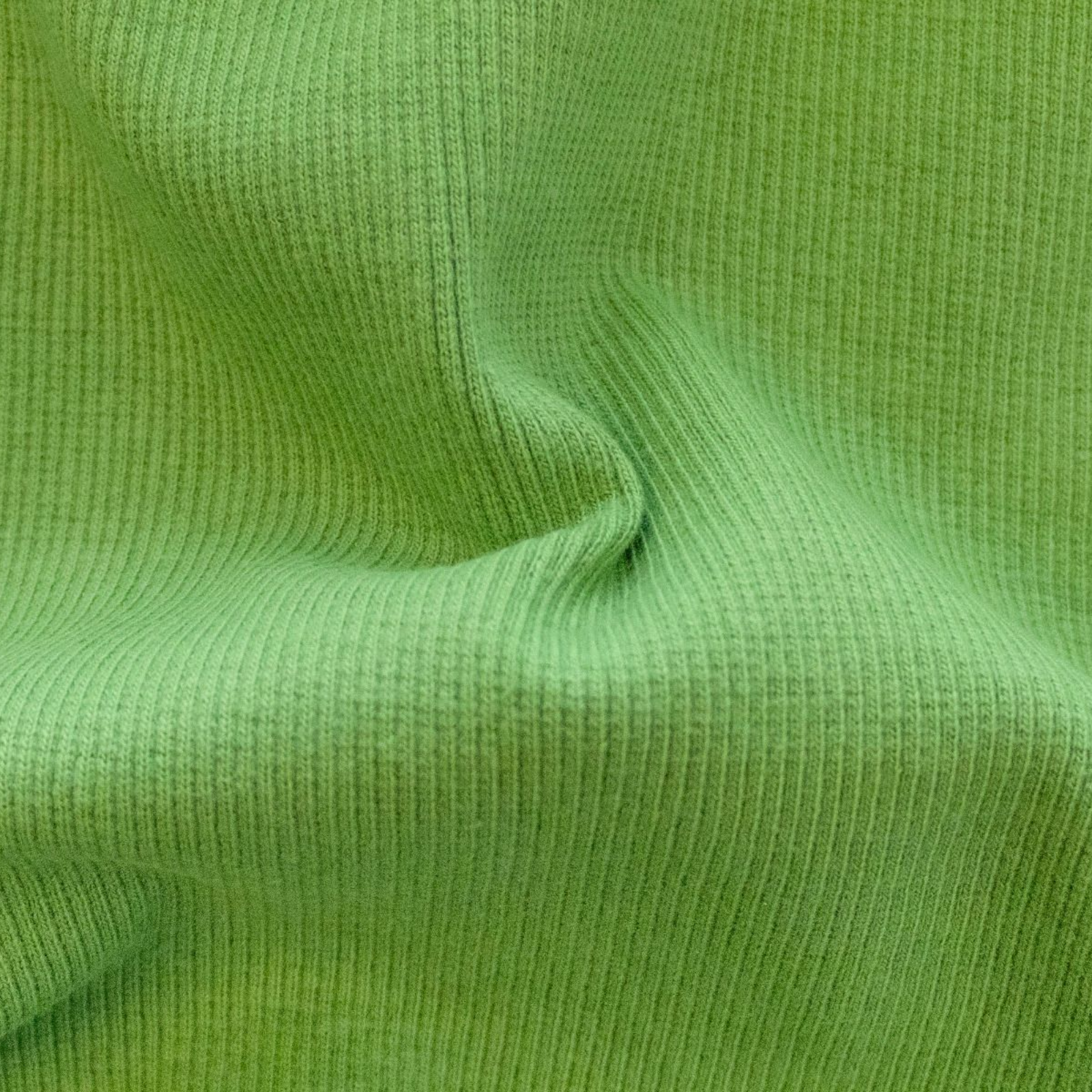 Geripptes_Buendchen_im_Schlauch_-_uni