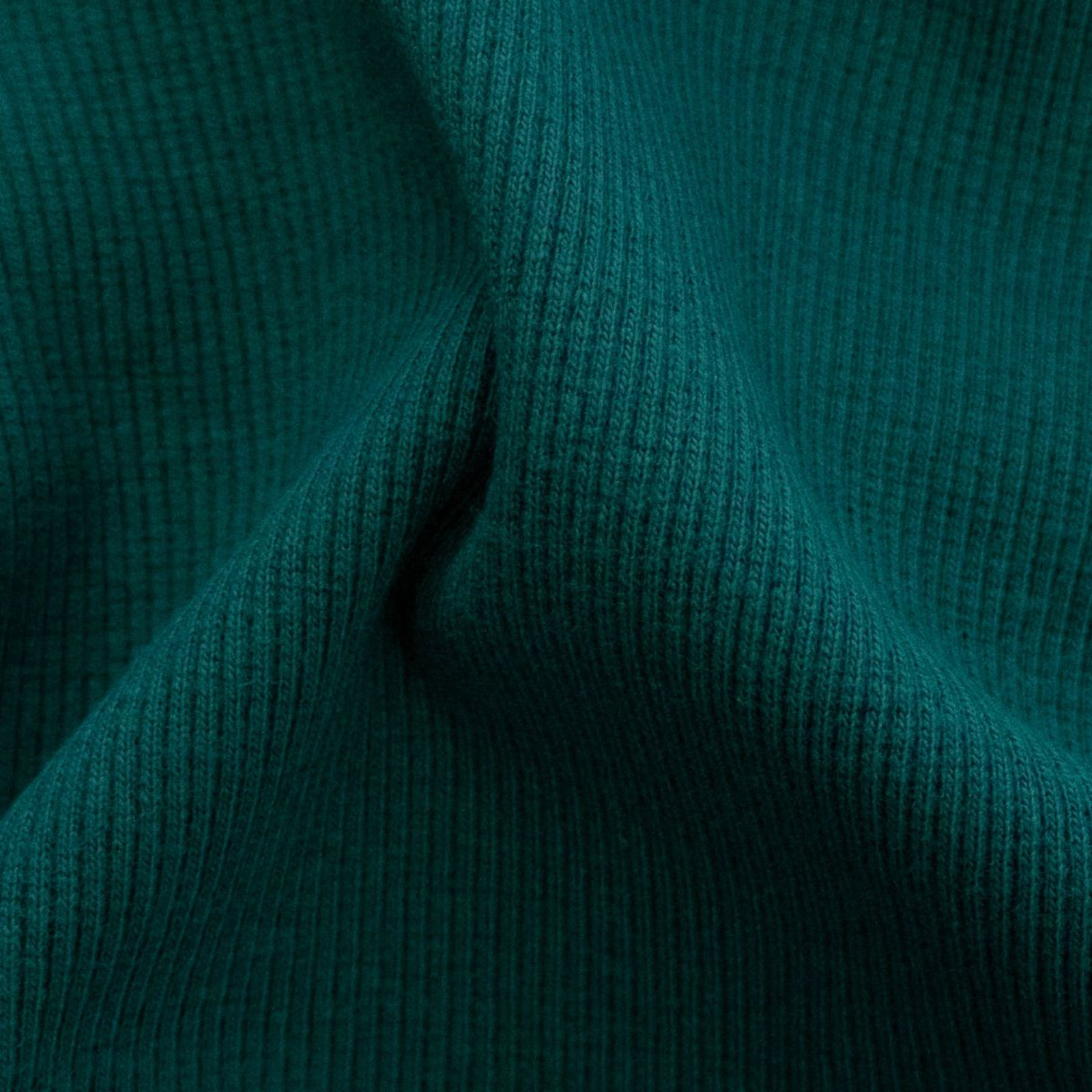 Geripptes_Buendchen_im_Schlauch_-_uni