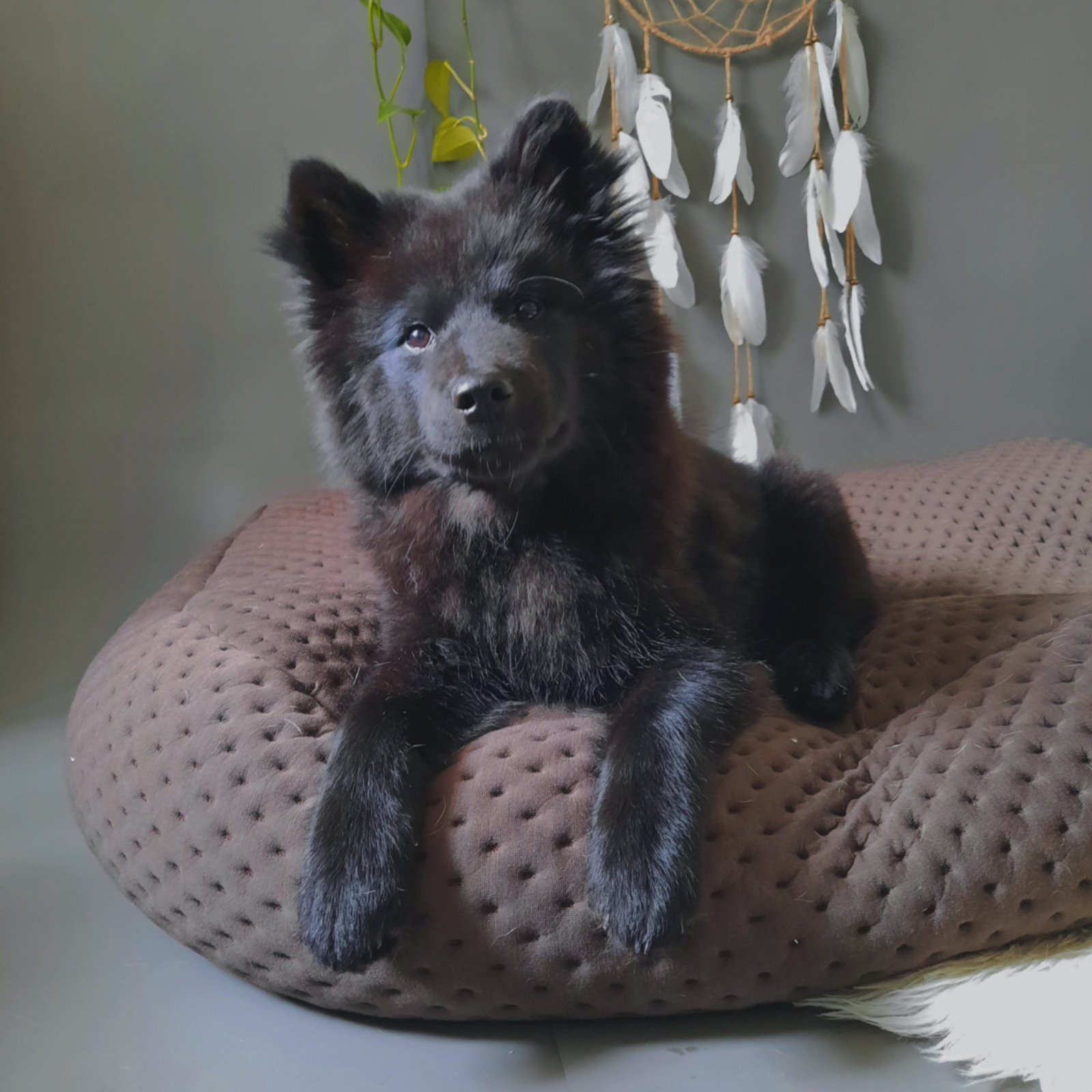 Hochwertiger dreidimensionaler Designer-Bezugsstoff