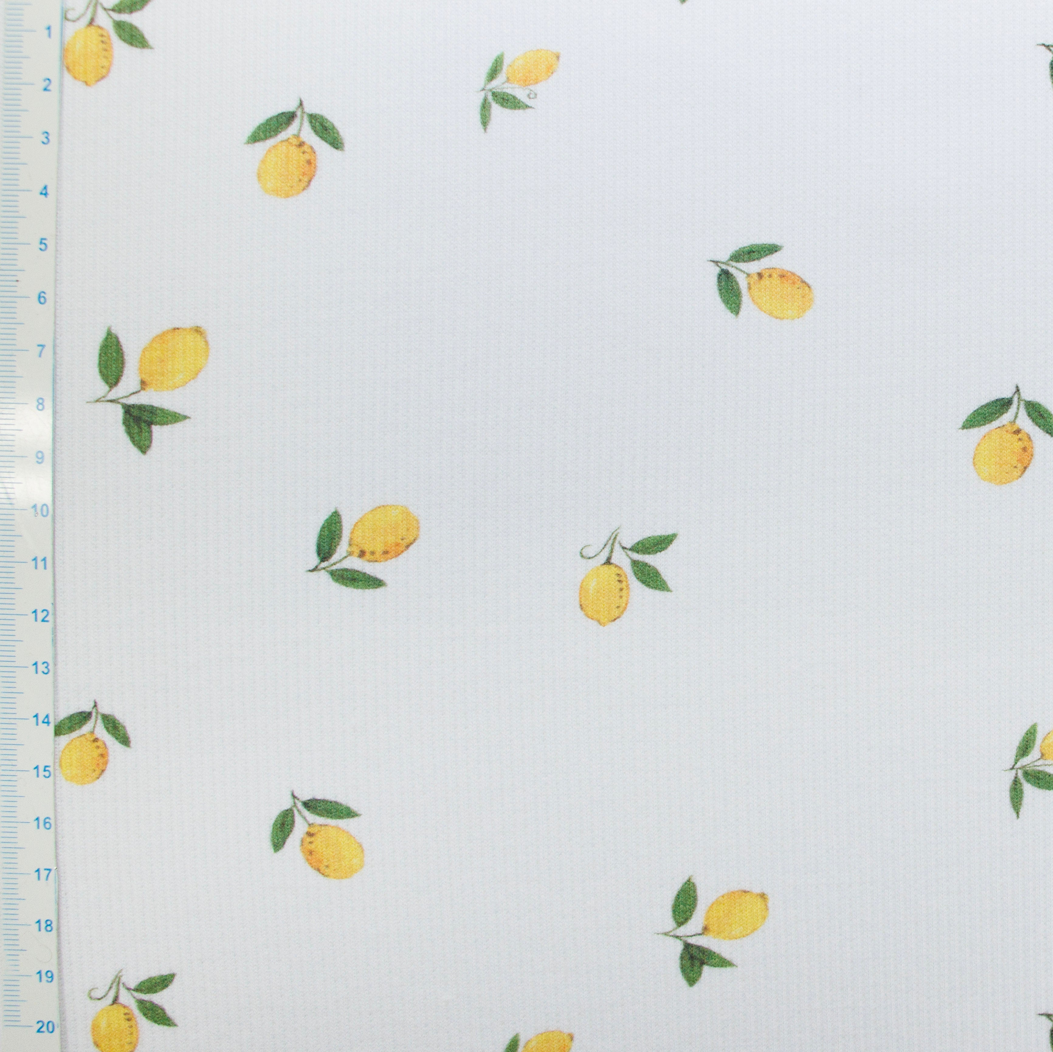 Ripp-Jersey Stoff Digitaldruck - kleine Zitronen - wollweiß