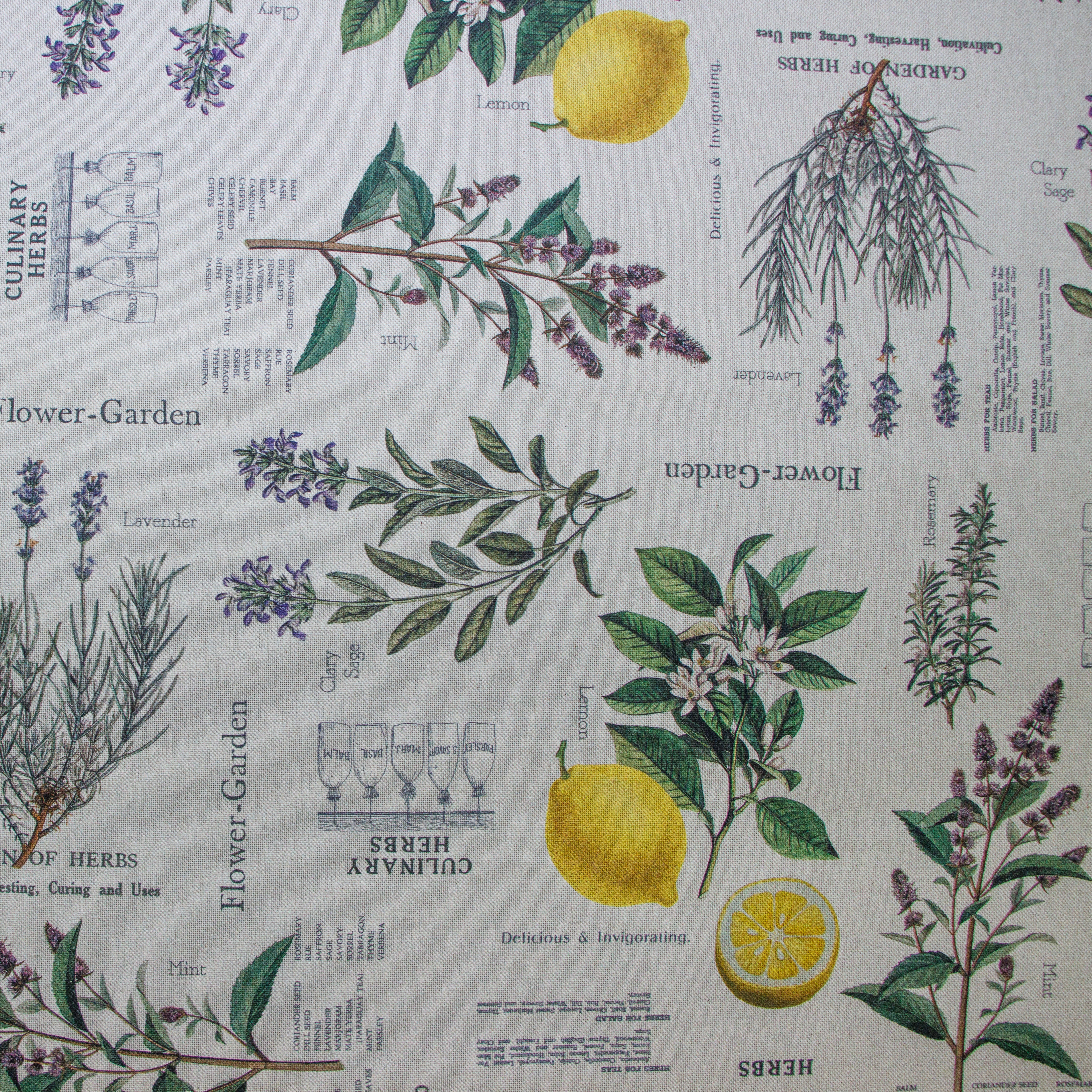 Dekostoff Half-Panama - Lavendel und Zitronen - sand