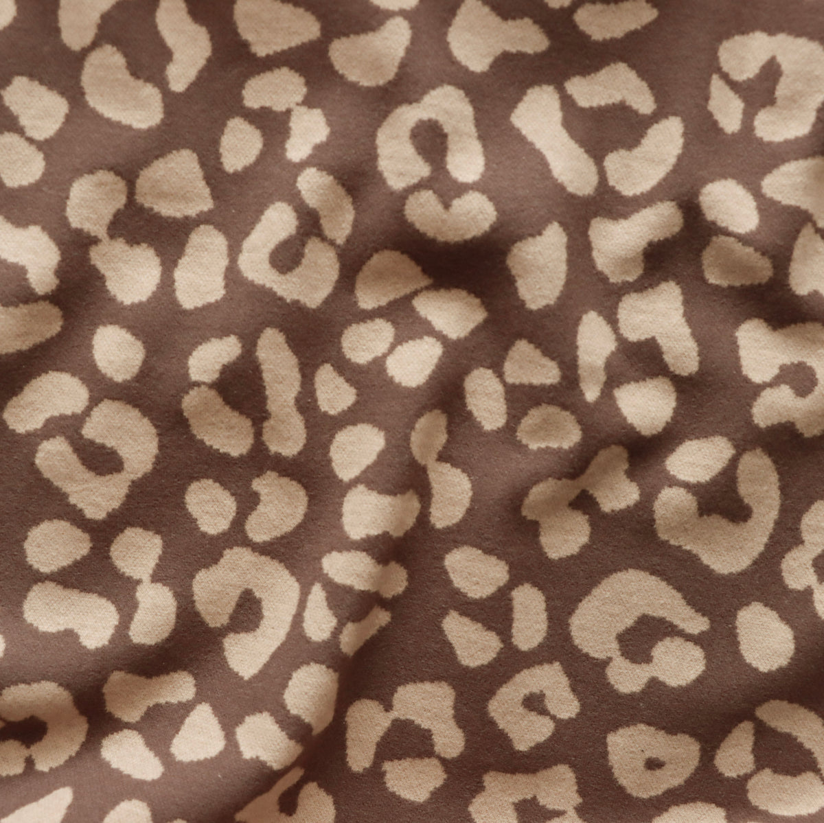 Eigenproduktion Jacquard - Sweat gebürstet - Leo - beige - braun