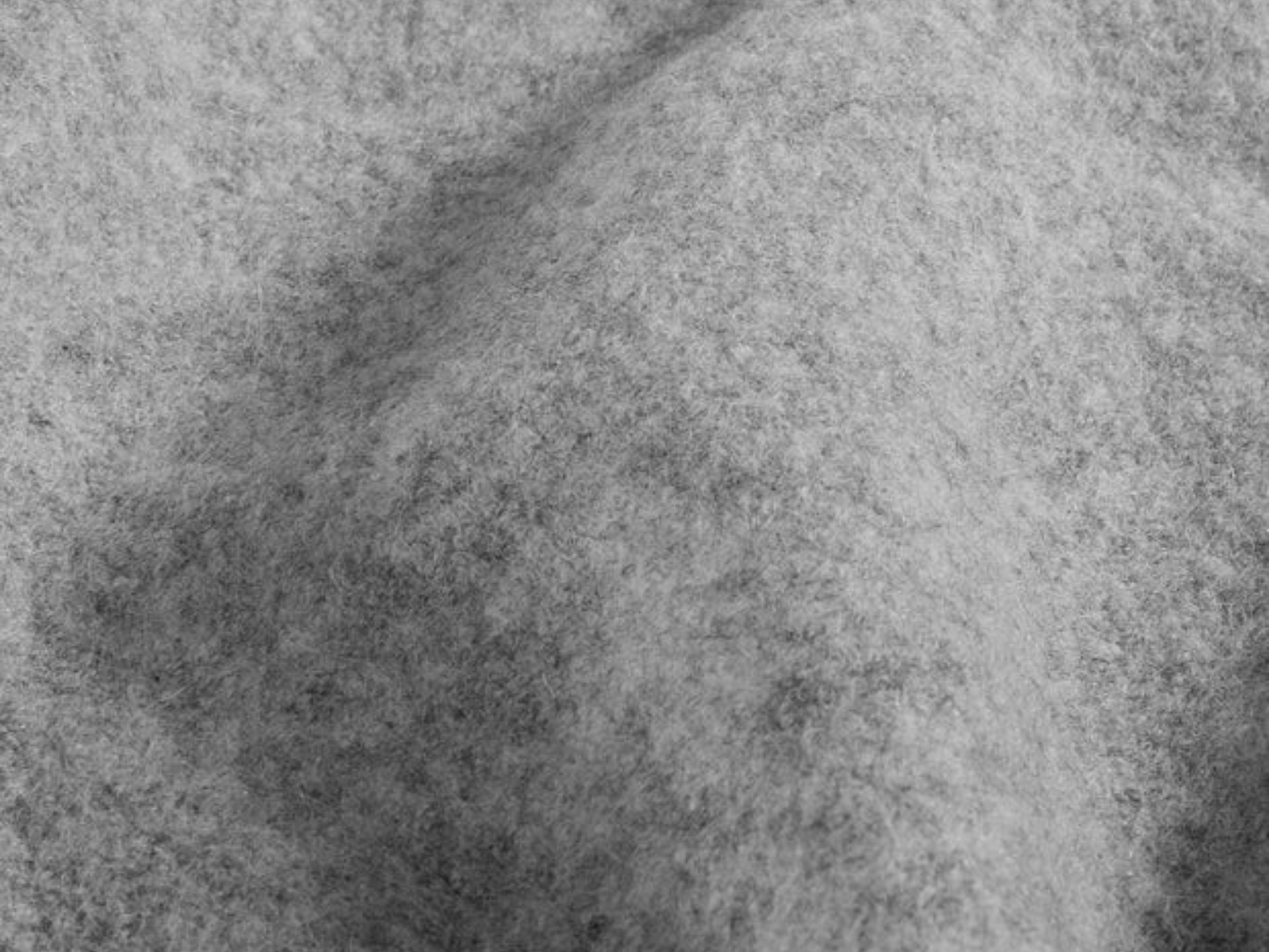 Walkloden Stoff Basics Wolle - uni/melange