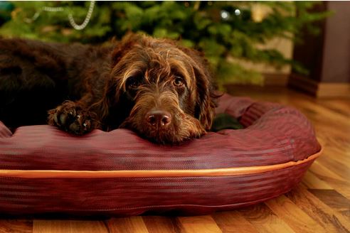 Papierschnittmuster Hundekorb Bello