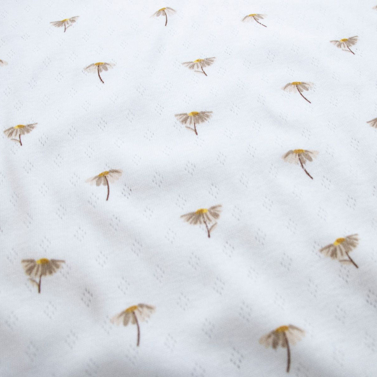 Jersey Feinstrick Pointoille - Gänseblümchen - weiß