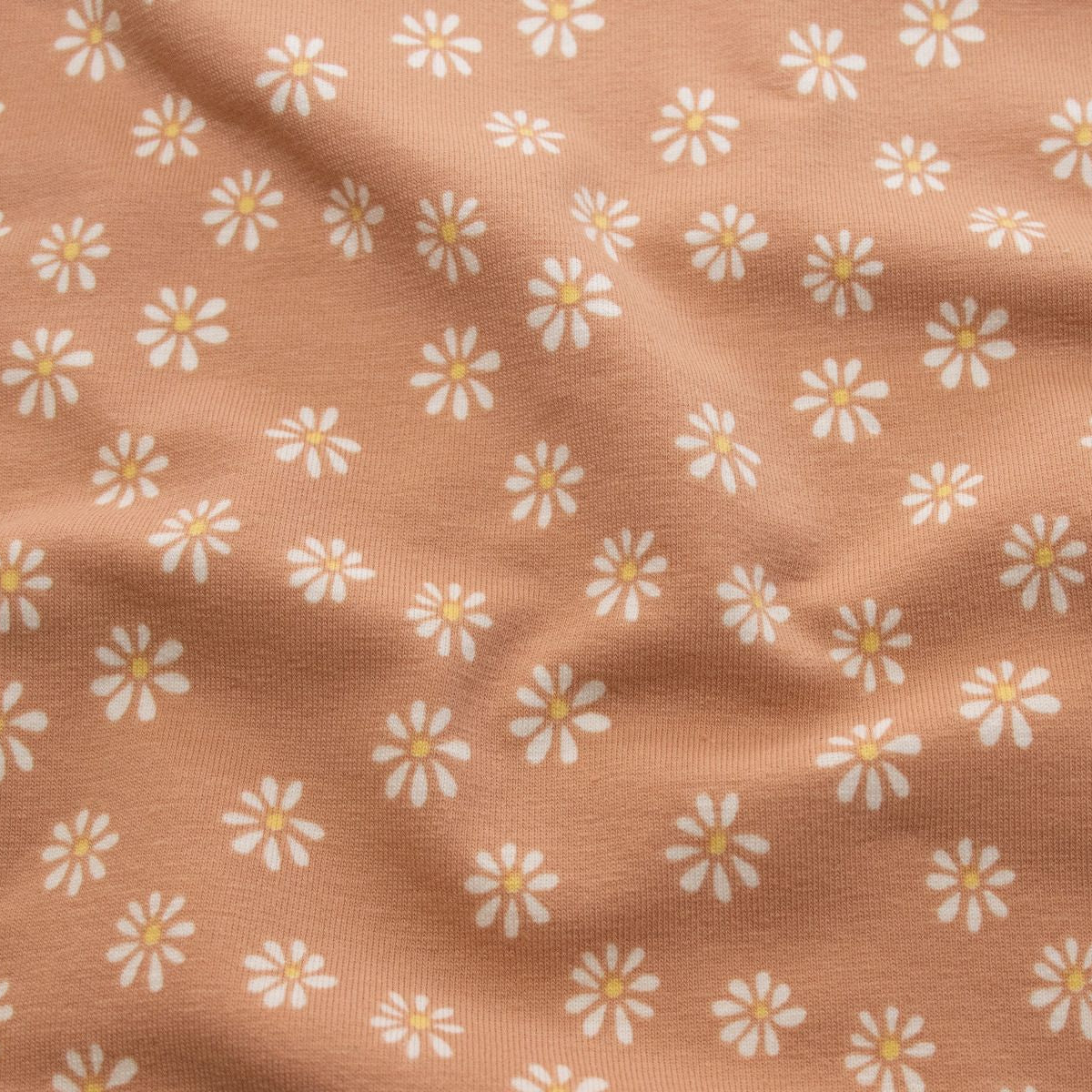 Jersey Baumwolle - Gänseblümchen - rosa