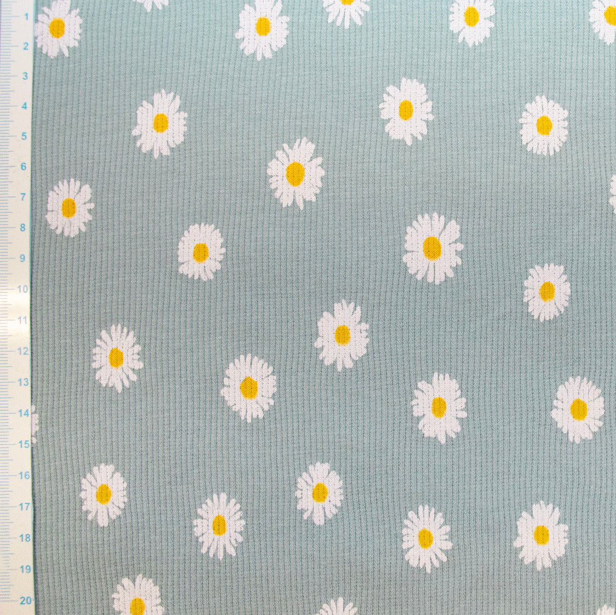 🌼 Ripp-Jersey Stoff Digitaldruck - Gänseblumen - Babyblau