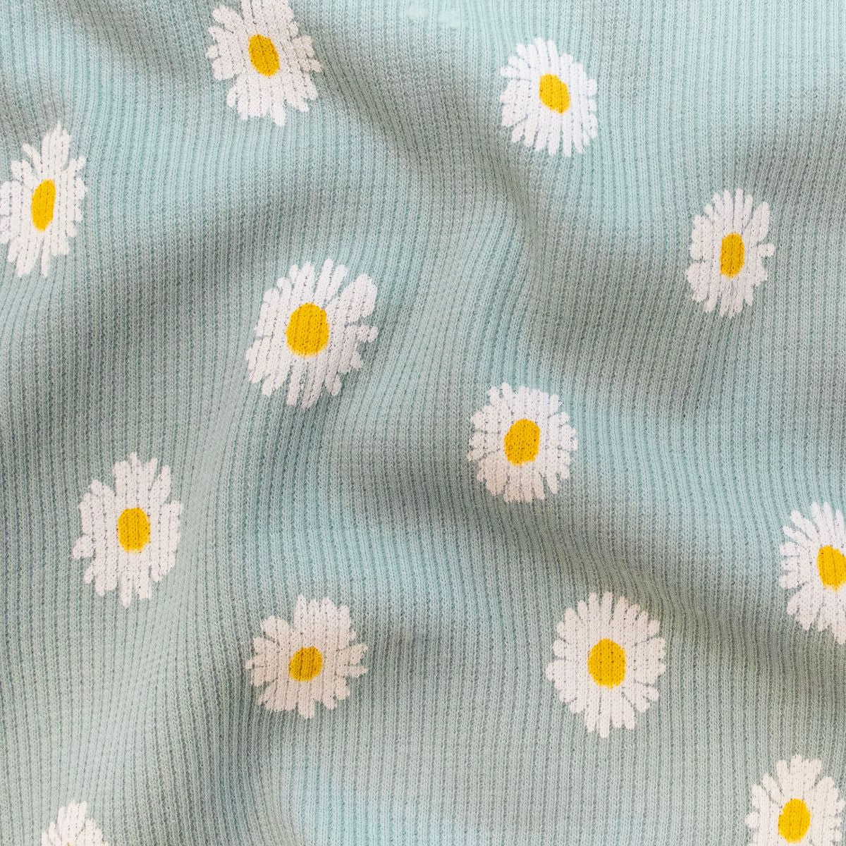 🌼 Ripp-Jersey Stoff Digitaldruck - Gänseblumen - Babyblau