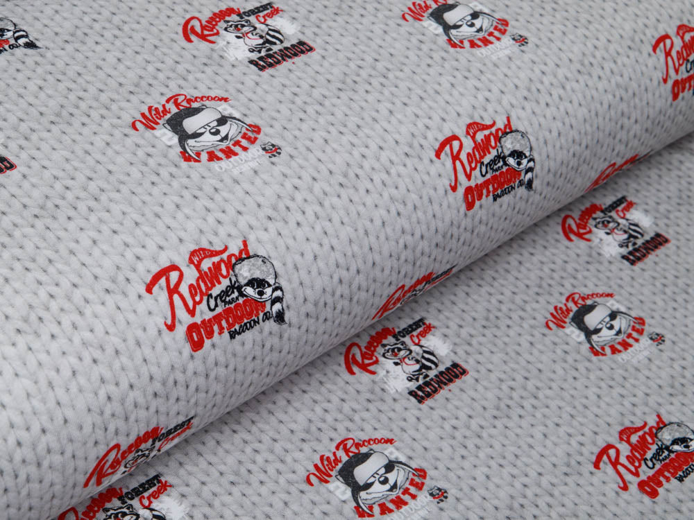 Sweat French Terry Digitaldruck Wild Raccoon Stenzo - wilde Waschbären auf Strickoptik