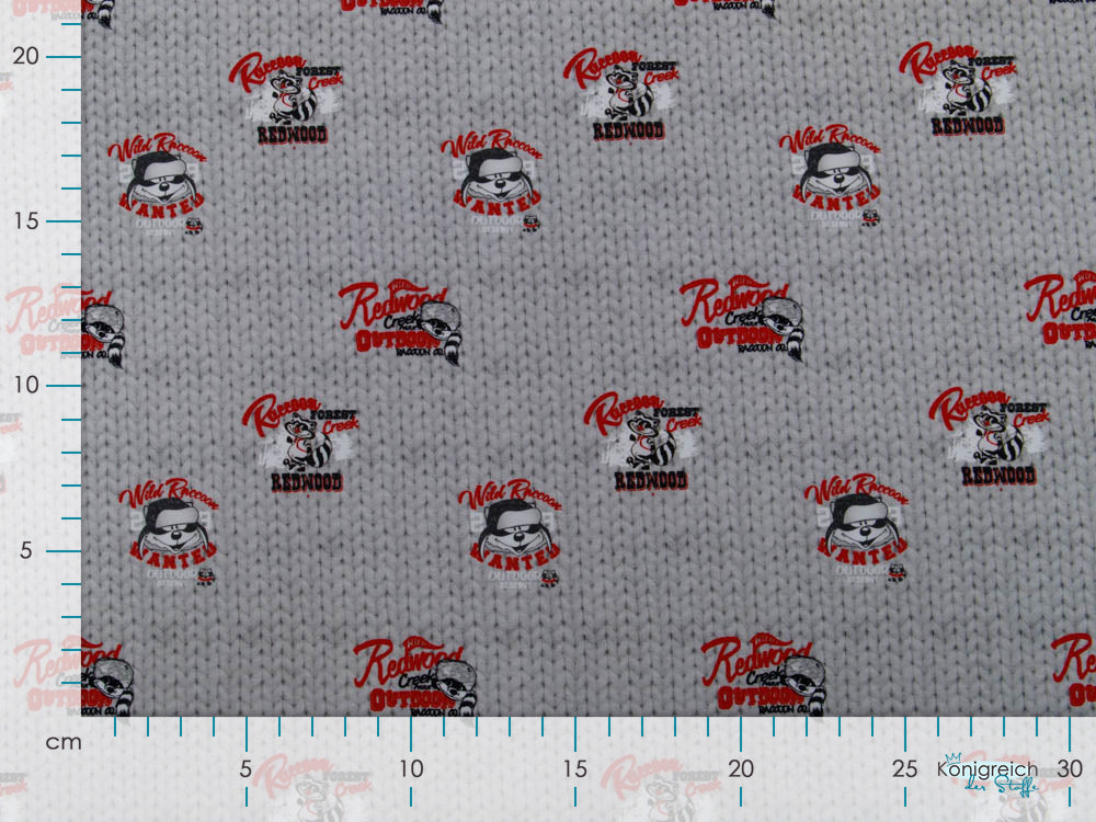 Sweat French Terry Digitaldruck Wild Raccoon Stenzo - wilde Waschbären auf Strickoptik