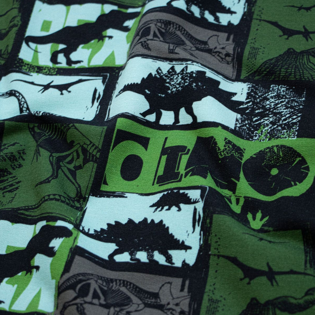 Leicht angerauter Sweat Swafing Basel - verschiedene Dinos - schwarz-grün
