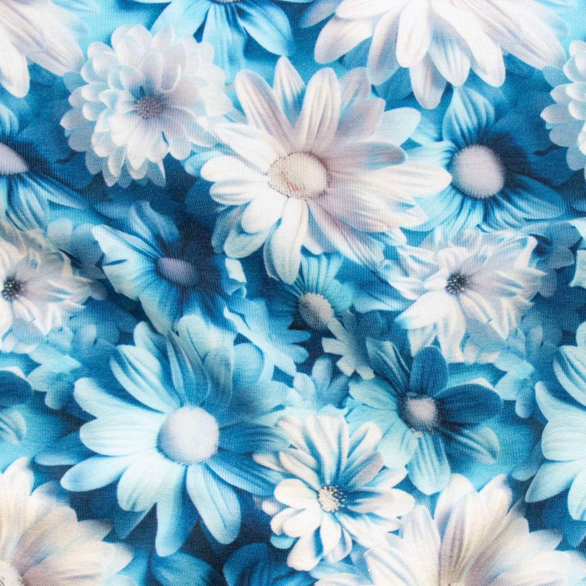 Jersey 3D Digitaldruck - schöne Blümchen - blau - weiß