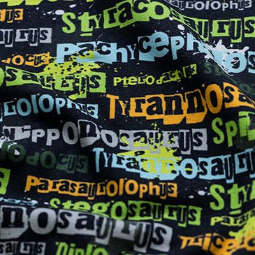 Leicht angerauter Sweat Swafing Basel - Dinosauriernamen - schwarz