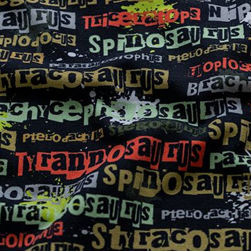 Leicht angerauter Sweat Swafing Basel - Dinosauriernamen - schwarz