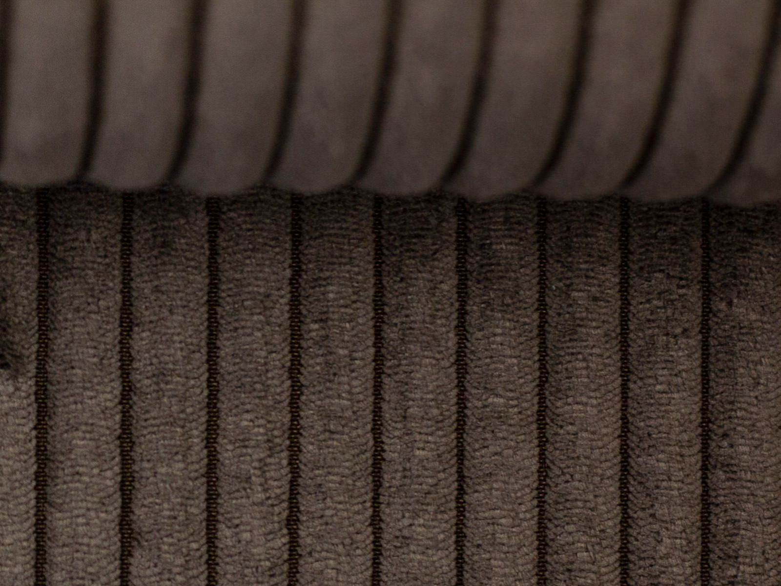 Breitcord Stoff - Samtcord Wanja - uni