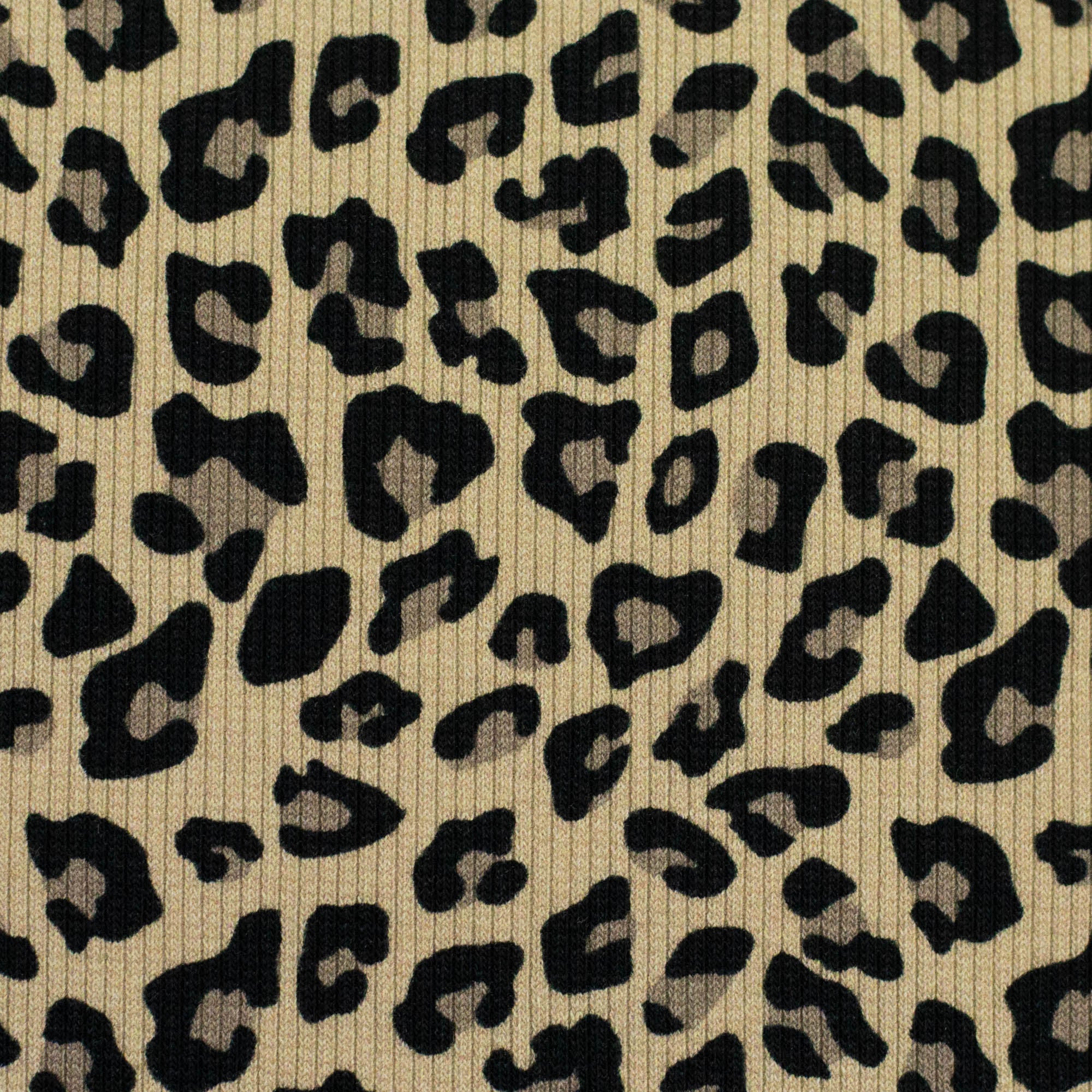 Ripp-Jersey Swafing Leonore - Leomuster - beige