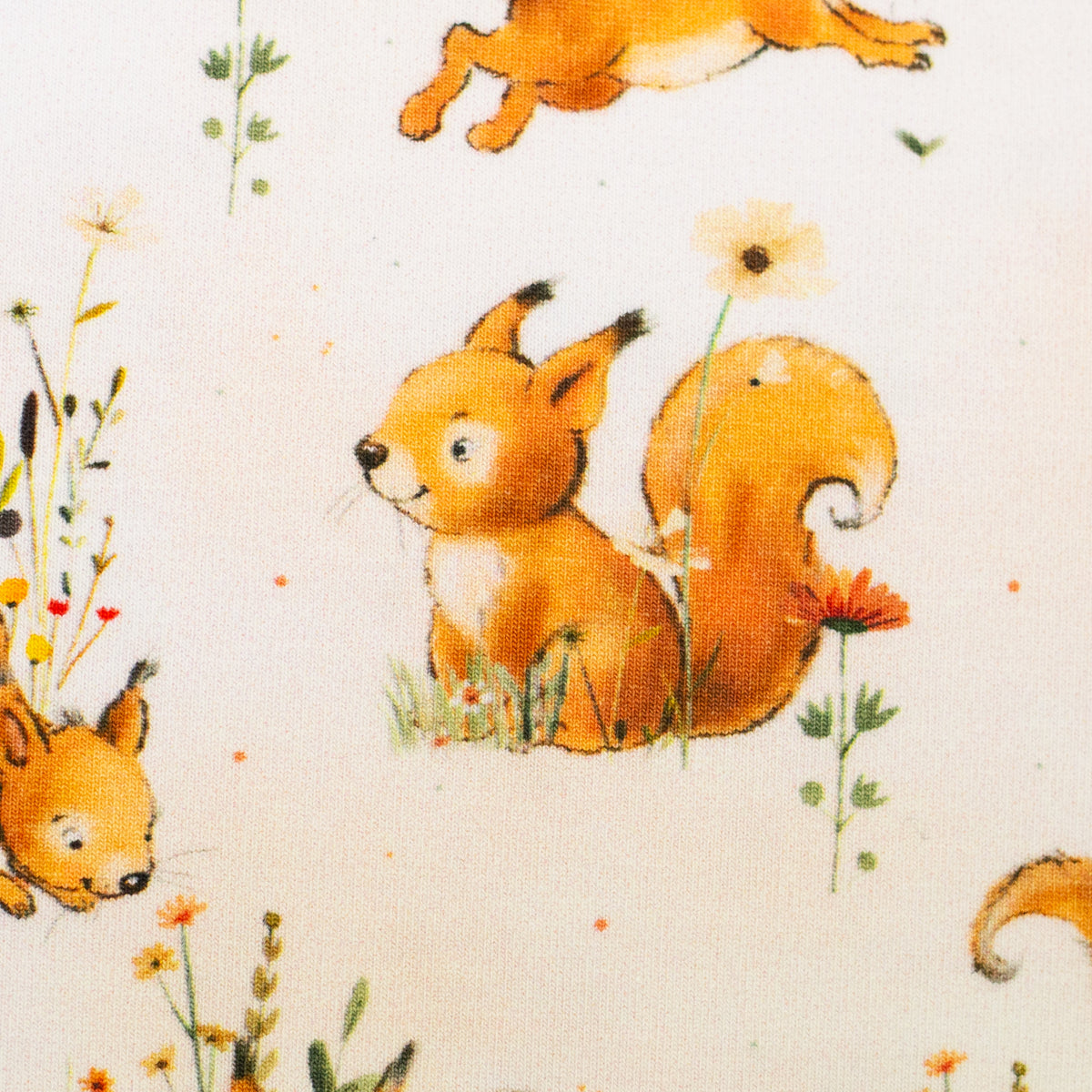 Baumwolle Jersey Swafing Forest Animals - Eichhörnchen - Eichhörnchen