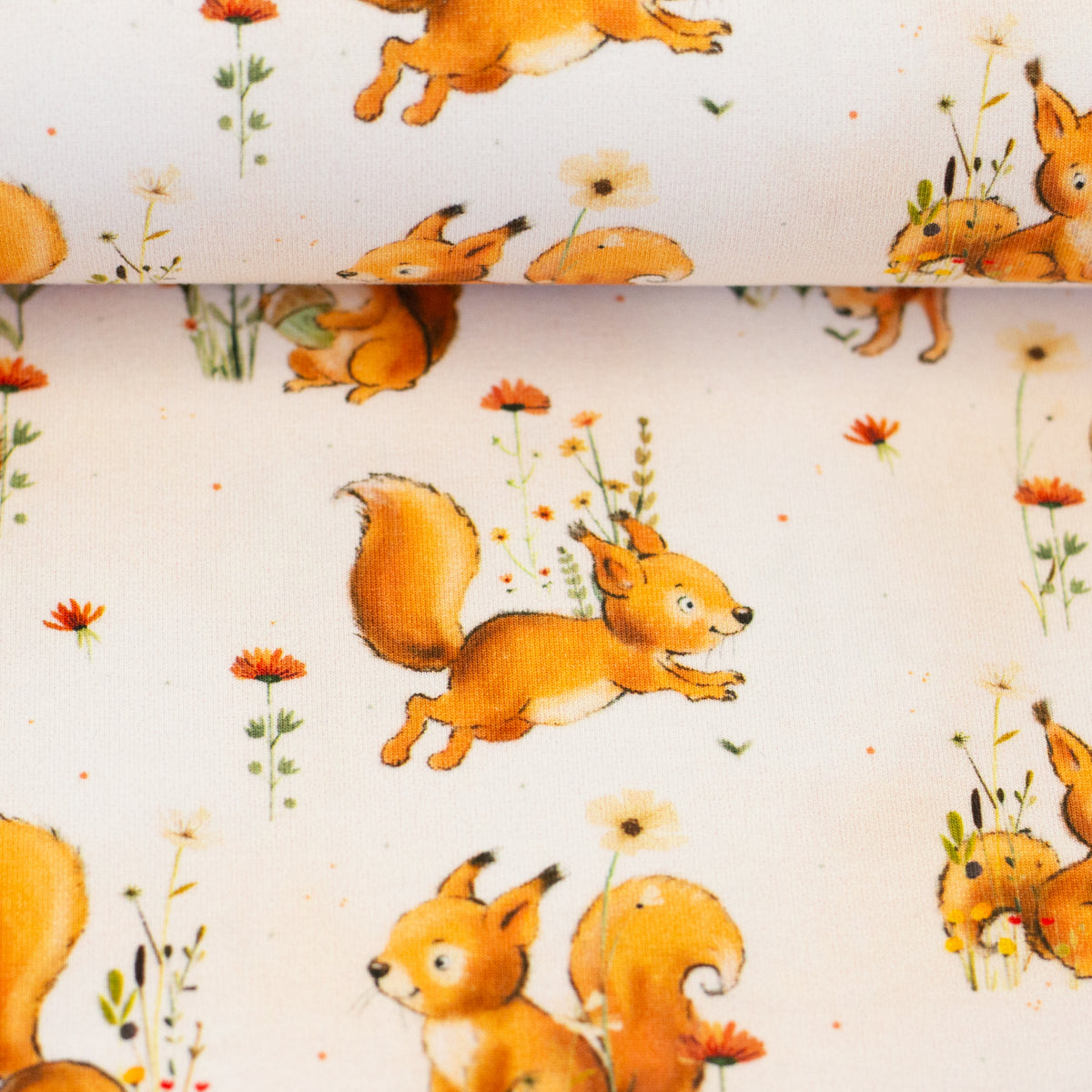 Baumwolle Jersey Swafing Forest Animals - Eichhörnchen - Eichhörnchen