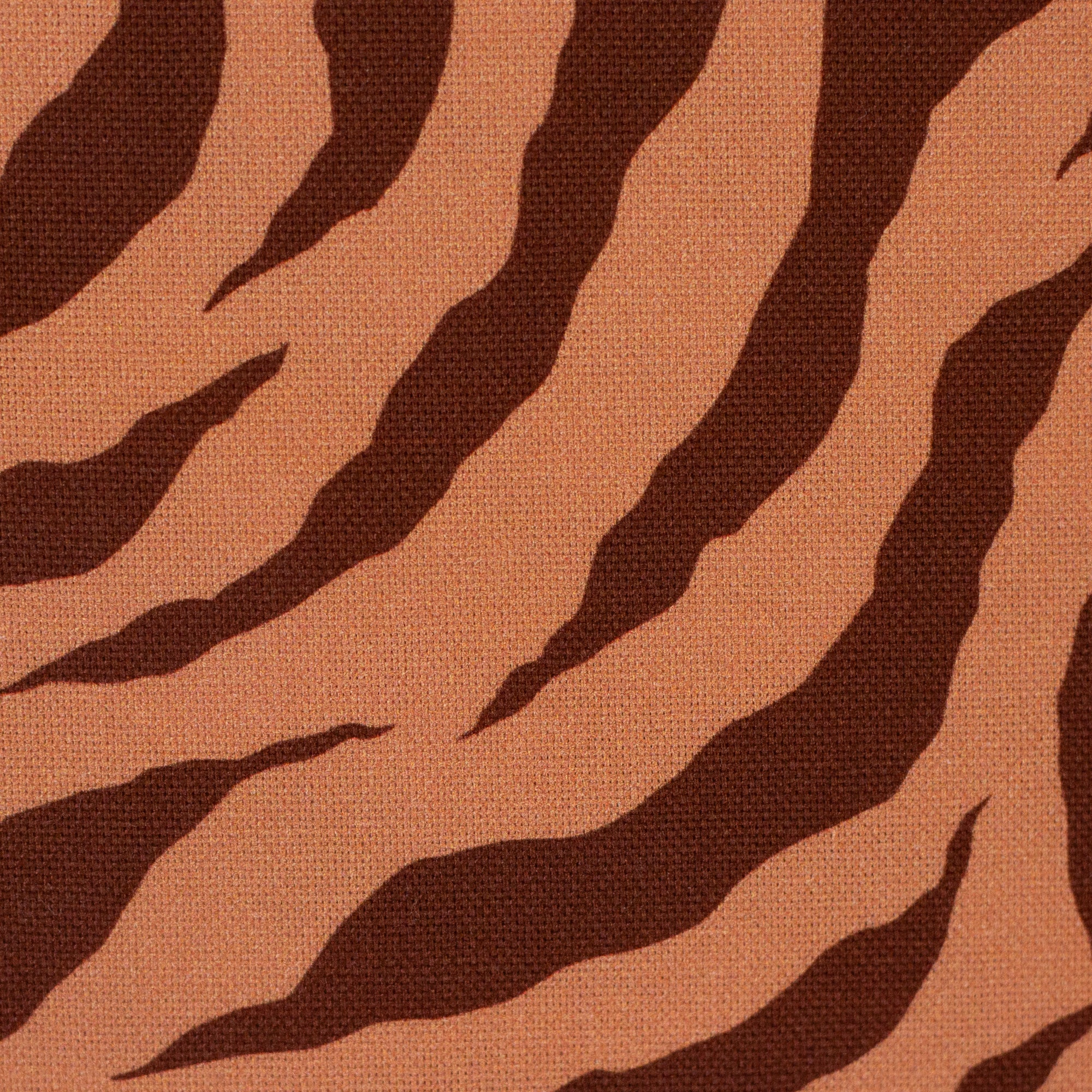 Canvas Swafing - DOHA - Zebra Print - braun