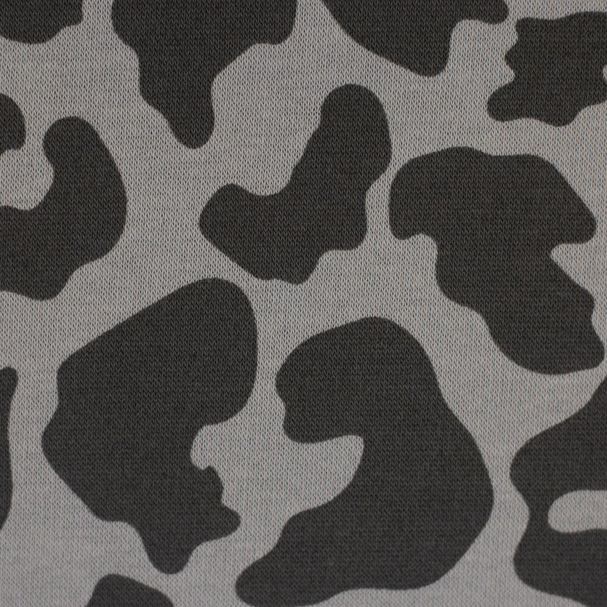 Angerauter Sweat Swafing Aspen - Leo - grau/dunkelgrau