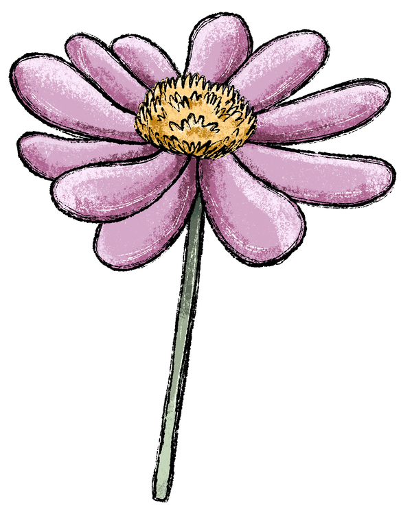 Bügelbild Applikation - Katzengold Design - Blumenwiese