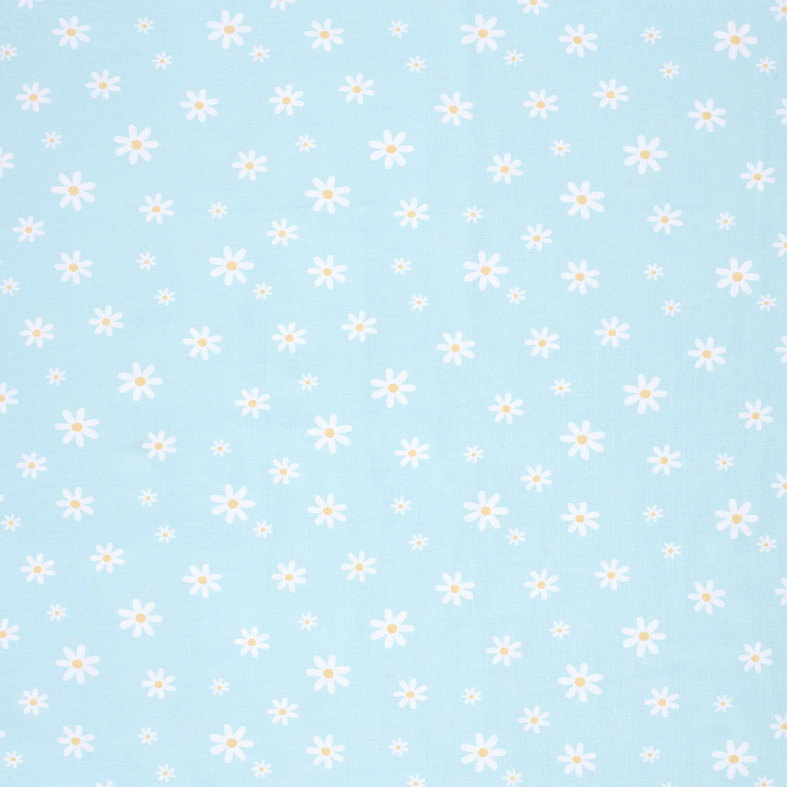 🌼Baumwolle Jersey Stoff Digitaldruck - Gänseblümchen - hellblau