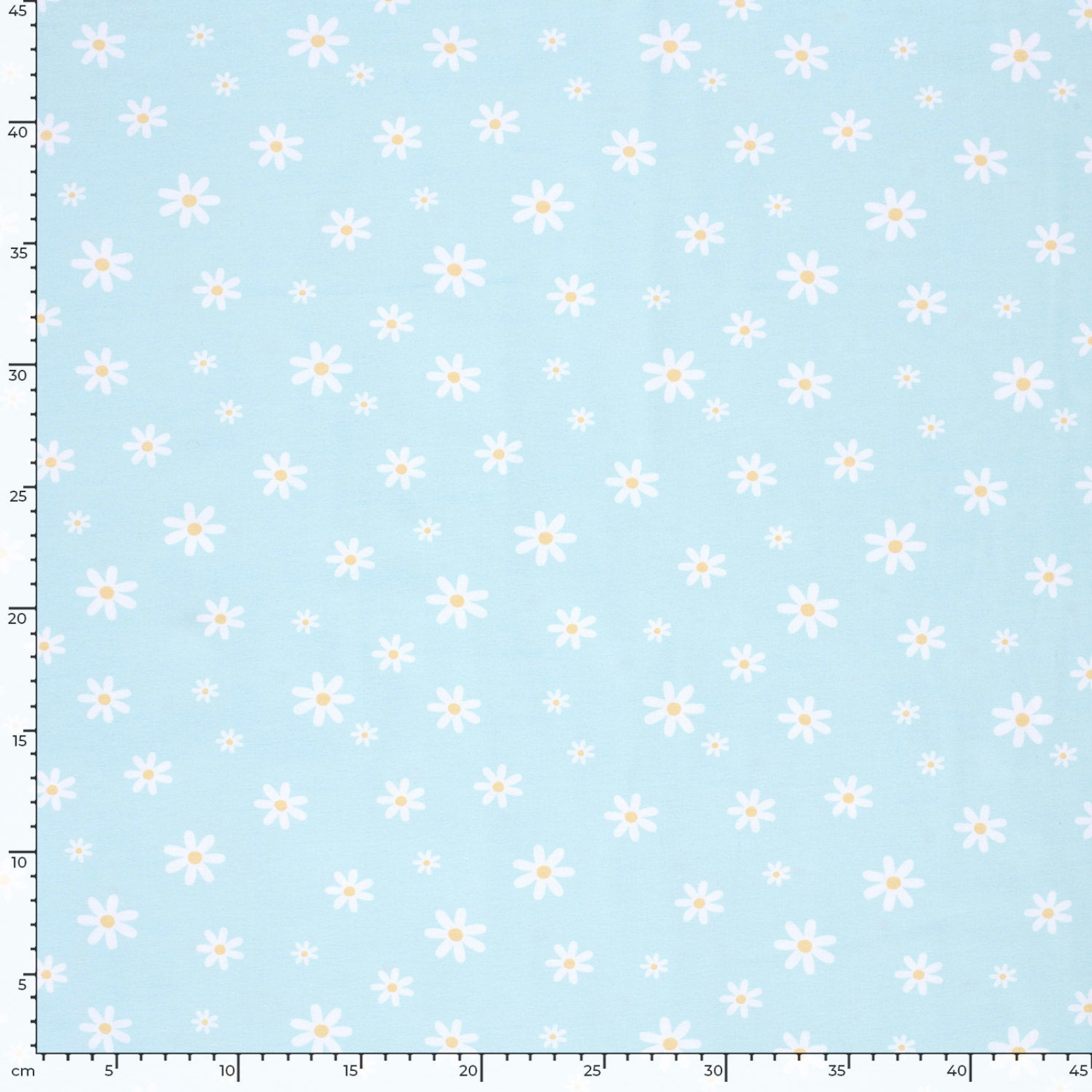 🌼Baumwolle Jersey Stoff Digitaldruck - Gänseblümchen - hellblau