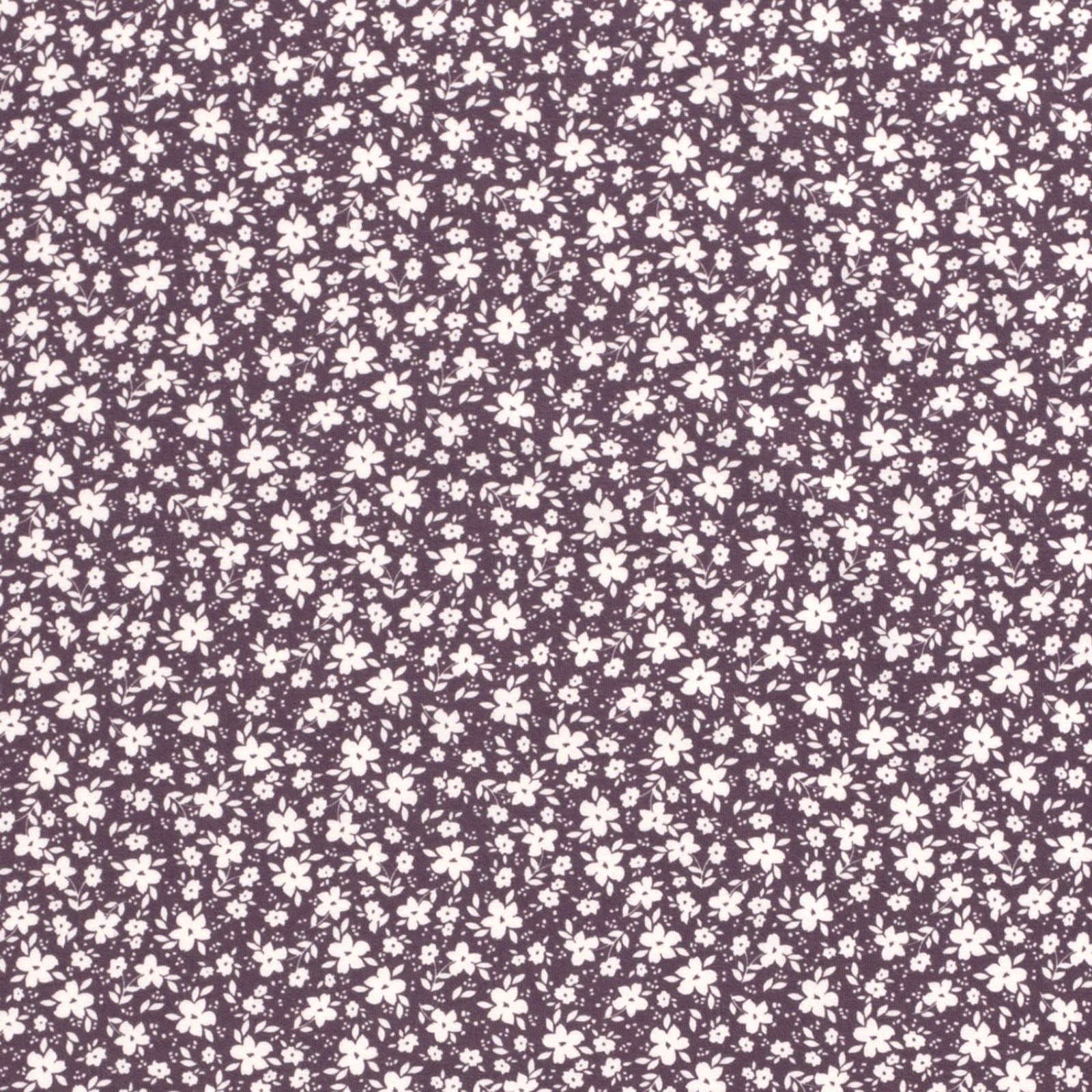 🌸Baumwolle Jersey Stoff Digitaldruck - Weiße Blümchen