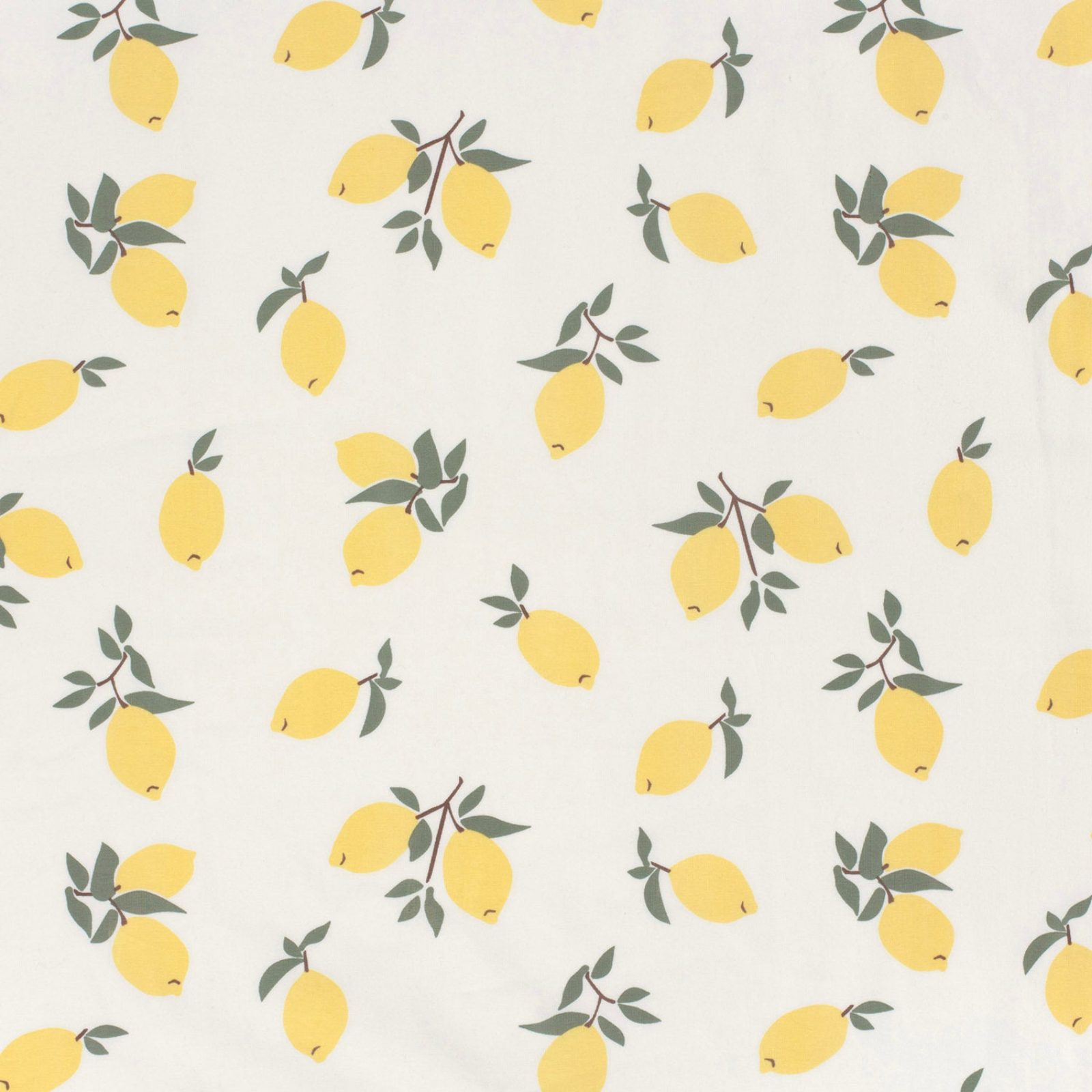 🍋Baumwolle Jersey Stoff Digitaldruck - Zitrone - wollweiß