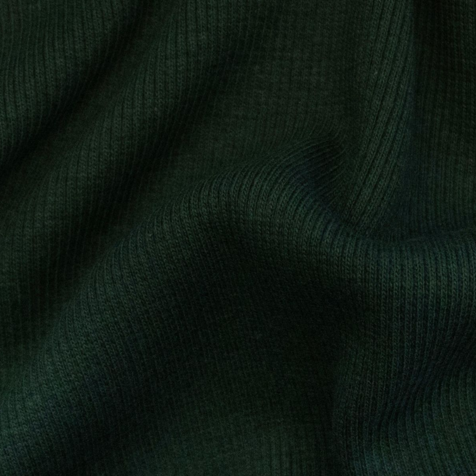 Geripptes_Buendchen_im_Schlauch_-_uni