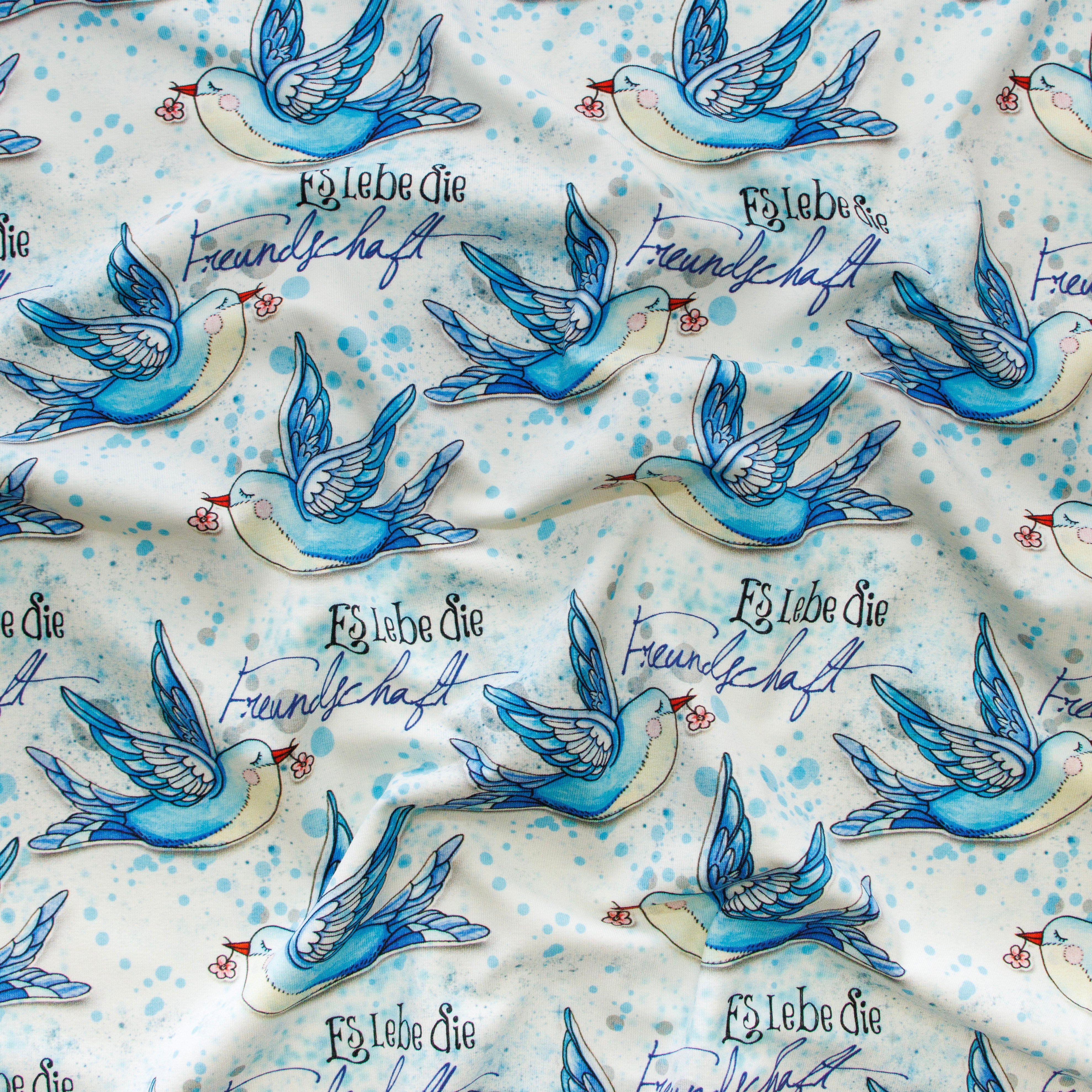 Jersey Eigenproduktion KaZuMi KDS -  Es lebe die Freundschaft - wollweiß