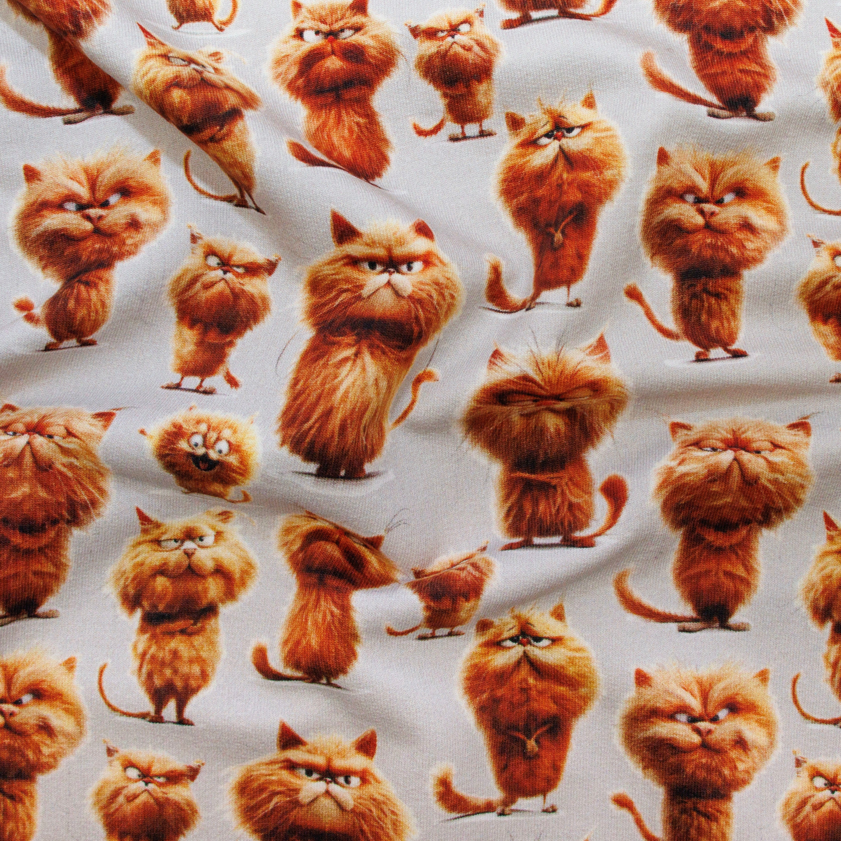 French Terry Digitaldruck - rote Katze - taupe