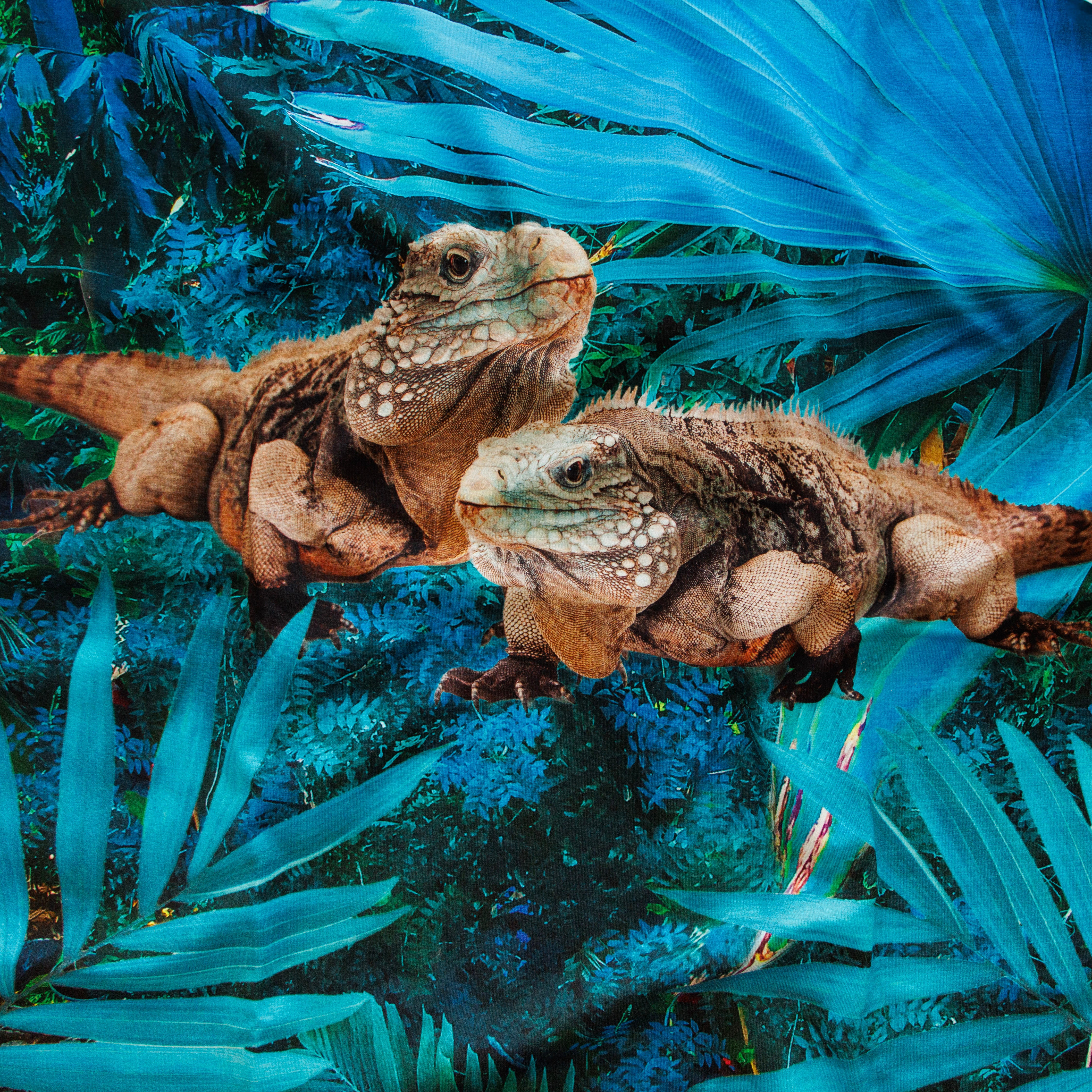 Sweat French Terry PANEL ca 60 cm  x 145 cm - Echsen