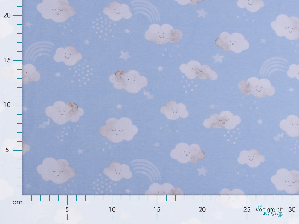 Jersey Swafing - Little Spring - niedliche Wolken