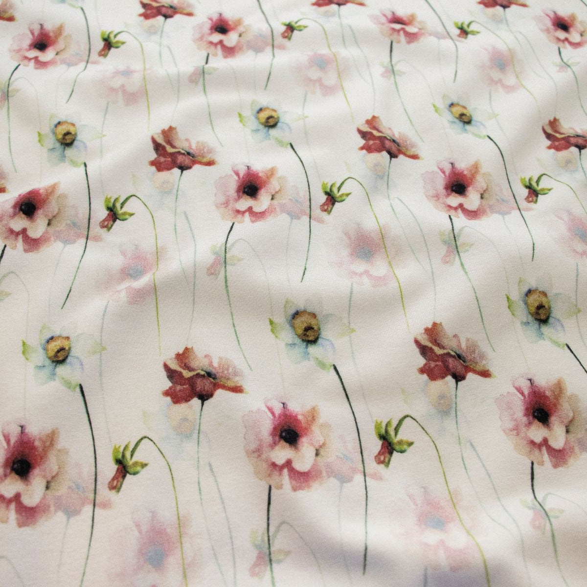 Jersey Digitaldruck - Narzissen - weiß - rosa