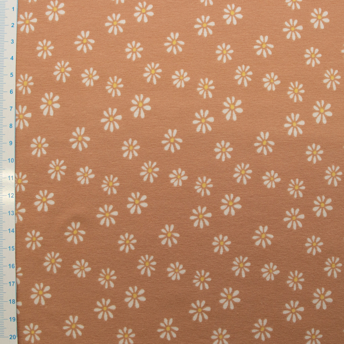 Jersey Baumwolle - Gänseblümchen - rosa