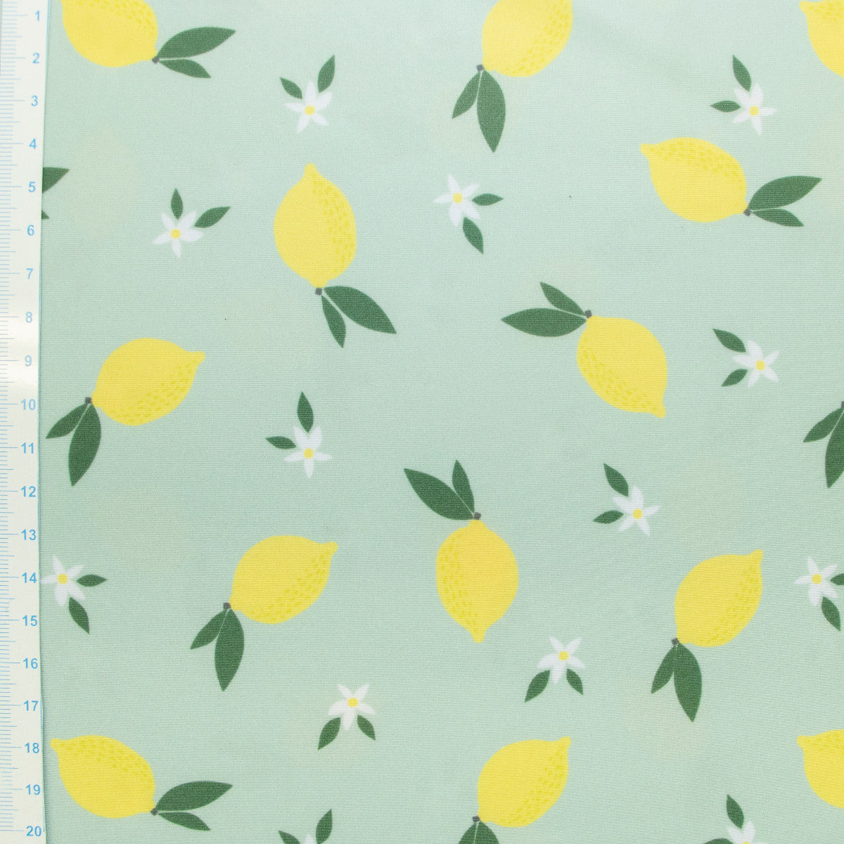 Swimwear Jersey Badestoff UV Protection UPF 50 Zitronen - mint