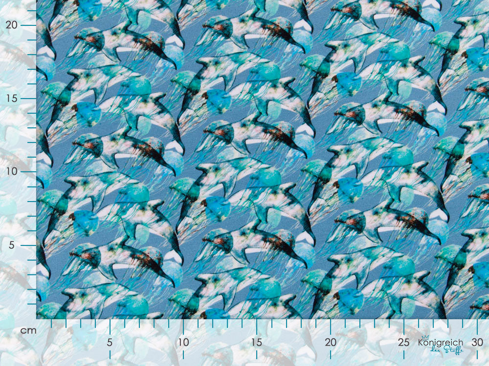 Jersey Digitaldruck - Delphine